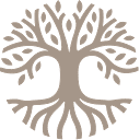 Ametller Origen logo