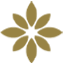 Amor logo