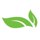 Green Home Solutions logo