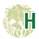 Hayleys logo
