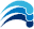 Tidal Wave Management logo